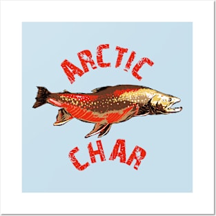 Arctic Char Posters and Art